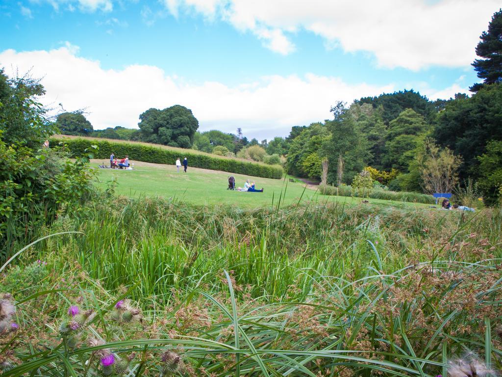 University Of Exeter - Holland Hall Ngoại thất bức ảnh