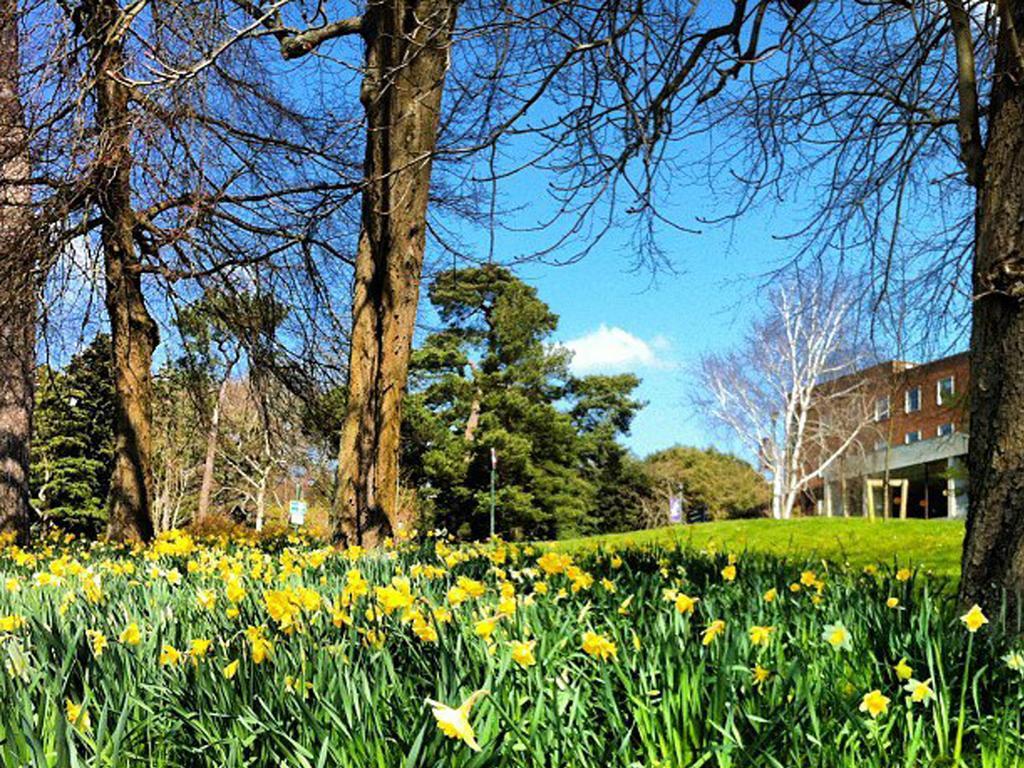 University Of Exeter - Holland Hall Ngoại thất bức ảnh